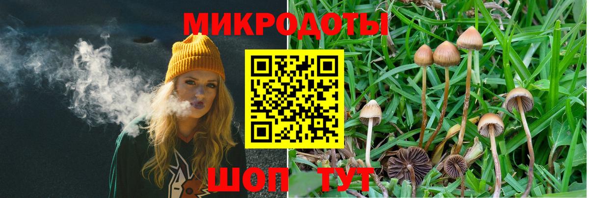 где продают наркотики  Вход с VPN  Псилоцибиновые грибы MAGIC MUSHROOMS  Асбест  Псилоцибиновые грибы Magic Shrooms 